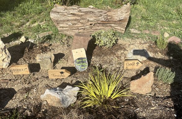 Le jardin des 5 sens